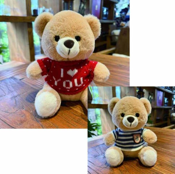 BEAR SWEATER 25CM B-0058 #Â‚¬25CM EK (B-0058) (4_OPAKOWANIE) (240_KARTON)