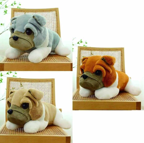 SHAR PEI QQ-0025) 34] (QQ-002) (12_OPAKOWANIE) (288_KARTON)