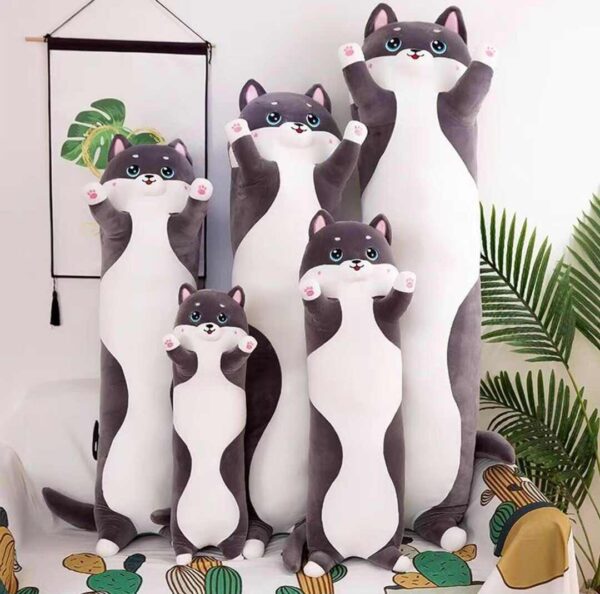 HUSKIES 50CM W-0033!Â§ + 2350CM (W-0033) (1_OPAKOWANIE) (100_KARTON)