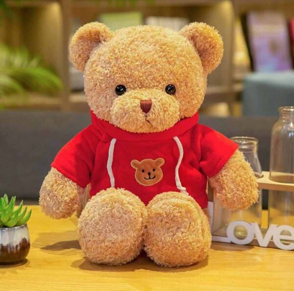 BEAR 30CM ZQQ-29 #& 30CM (ZQQ-29) (1_OPAKOWANIE) (40_KARTON)